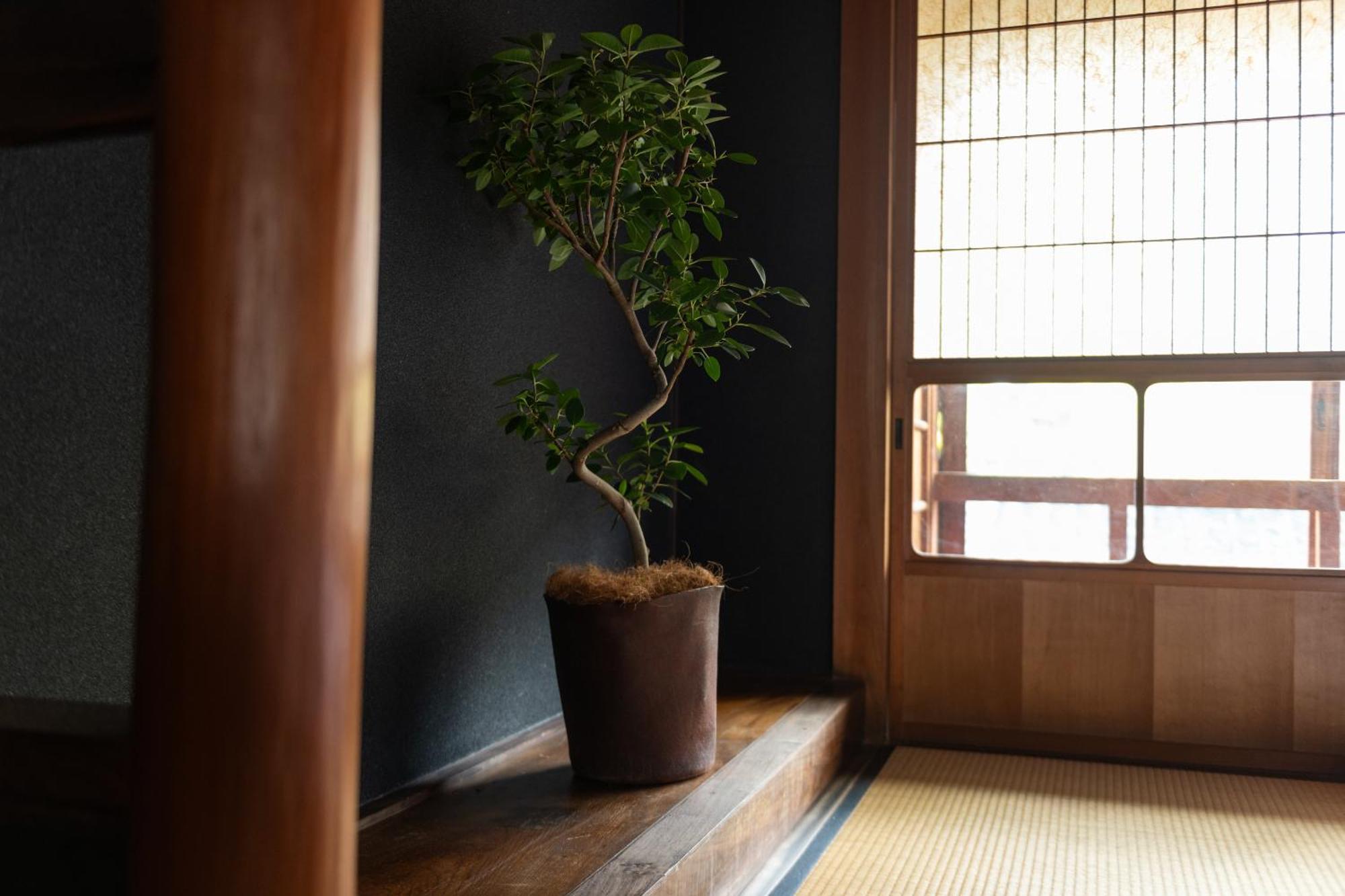 篠山城下町ゲストハウス Quolo Tamba-Sasayama Esterno foto